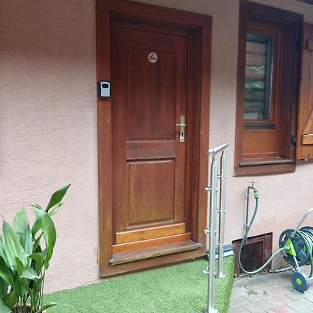Passage Des Romains Studio Horbourg Εξωτερικό φωτογραφία
