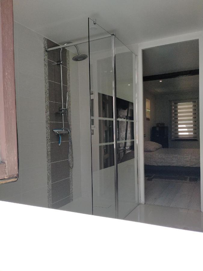 Passage Des Romains Studio Horbourg Εξωτερικό φωτογραφία