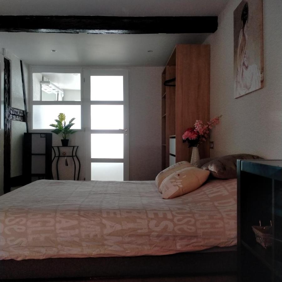 Passage Des Romains Studio Horbourg Εξωτερικό φωτογραφία