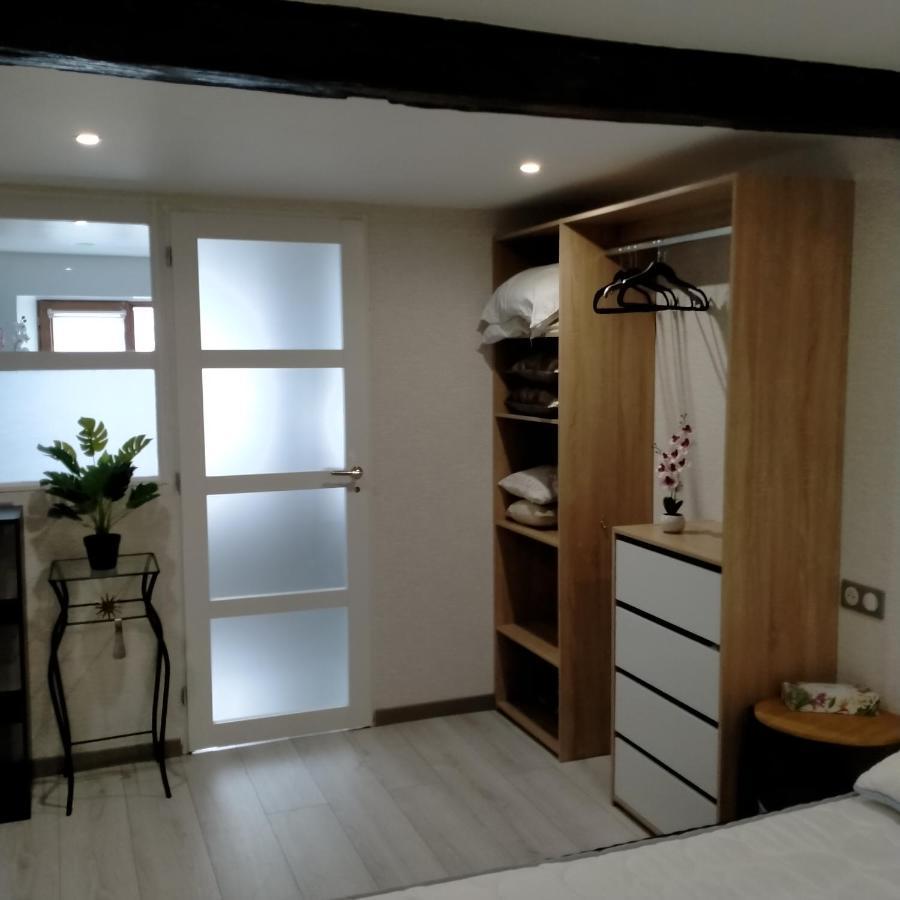 Passage Des Romains Studio Horbourg Εξωτερικό φωτογραφία
